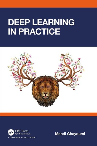 Produktbild: Deep Learning in Practice