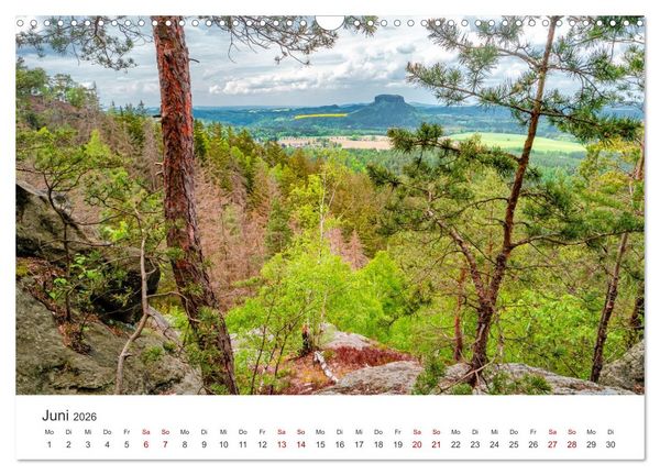 Produktbild: DEUTSCHLAND, S&auml;chsische Schweiz Nationalpark, M&auml;rchenwald (Wandkalender 2026 DIN A3 quer), CALVENDO Monatskalender