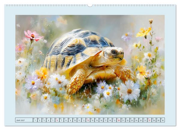 Produktbild: Schildkr&ouml;ten. Gut gepanzert und niemals in Eile (Wandkalender 2027 DIN A2 quer), CALVENDO Monatskalender