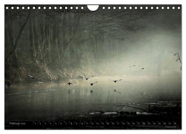 Produktbild: Traumlandschaften 2026 (Wandkalender 2026 DIN A4 quer), CALVENDO Monatskalender