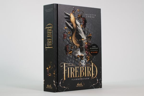 Produktbild: Flammensturm (Band 1) - Firebird