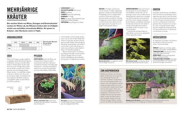 Produktbild: Gr&uuml;nes Gartenwissen. Gem&uuml;se anbauen
