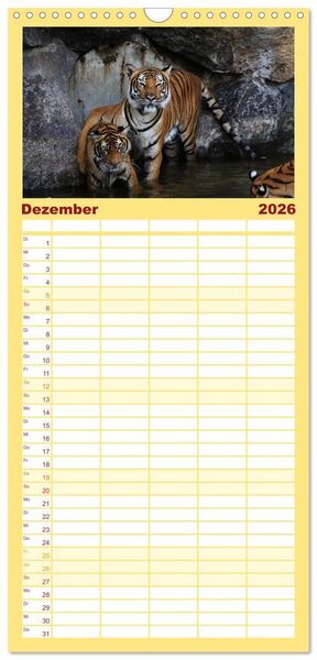Produktbild: Familienplaner 2026 - Tiger mit 5 Spalten (Wandkalender, 21 x 45 cm) CALVENDO