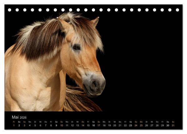 Produktbild: Magische Momente - Pferde Horses Caballos (Tischkalender 2026 DIN A5 quer), CALVENDO Monatskalender