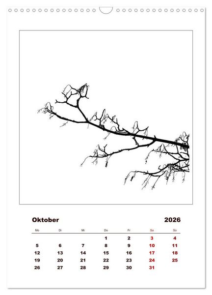 Produktbild: LignoGrafica - Muster und Strukturen der B&auml;ume (Wandkalender 2026 DIN A3 hoch), CALVENDO Monatskalender