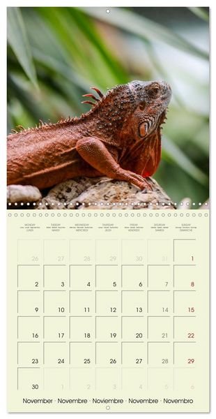 Produktbild: Les merveilles du monde les reptiles (Calendrier mural carr&eacute; 2026 30x30 cm) Calendrier double avec une page pour vos prises de notes