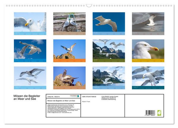 Produktbild: M&ouml;wen die Begleiter an Meer und See (Wandkalender 2026 DIN A2 quer), CALVENDO Monatskalender