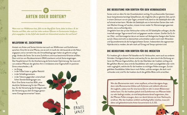 Produktbild: Die Insektenwiese: So summt & brummt es garantiert!