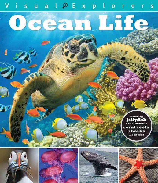 Produktbild: Ocean Life