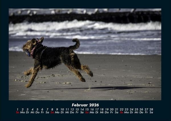 Produktbild: Hundezauber 2026 Fotokalender DIN A4
