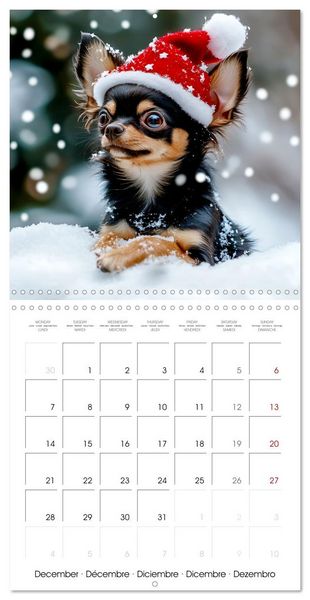 Produktbild: Cute Chihuahua (Wall Calendar 2026 12 &times; 12 Inch) CALVENDO 12 Month Wall Calendar