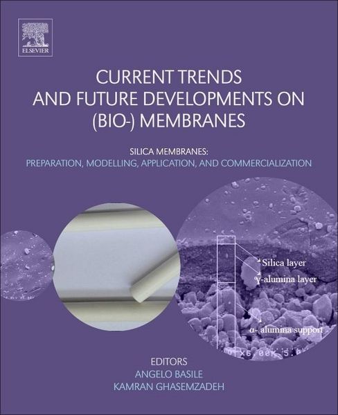 Produktbild: Current Trends and Future Developments on (Bio-) Membranes