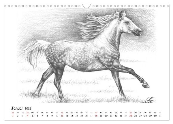 Produktbild: Arts & Horses (Wandkalender 2026 DIN A3 quer), CALVENDO Monatskalender