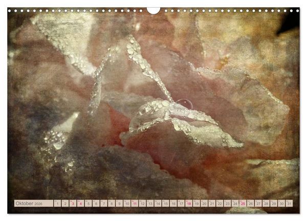 Produktbild: Rosenduft Shabby Chic Style (Wandkalender 2026 DIN A3 quer), CALVENDO Monatskalender