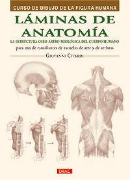 Produktbild: L&aacute;minas de anatom&iacute;a : la estructura &oacute;seo-artro-miol&oacute;gica del cuerpo humano