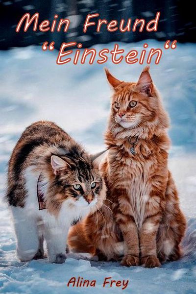Produktbild: Mein Freund "Einstein"