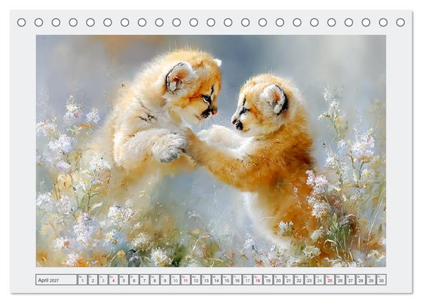 Produktbild: Pumababys. Verspielte Bergl&ouml;wenkinder in der Natur (Tischkalender 2027 DIN A5 quer), CALVENDO Monatskalender