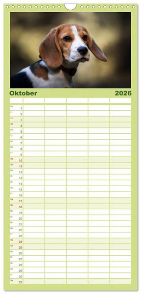 Produktbild: Familienplaner 2026 - Beaglebabys auf Entdeckungstour mit 5 Spalten (Wandkalender, 21 x 45 cm) CALVENDO