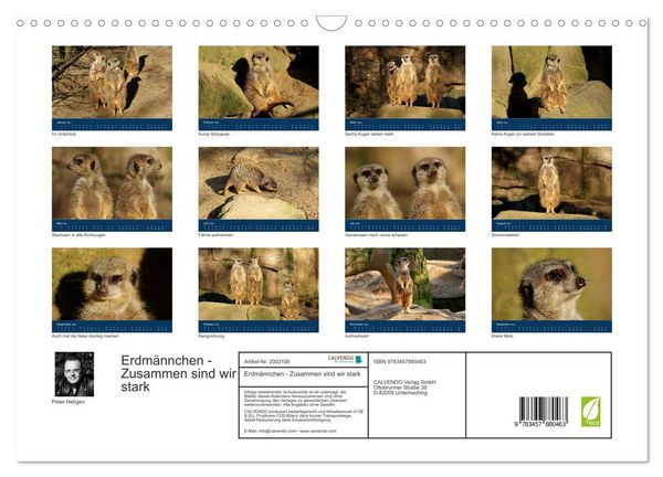 Produktbild: Erdm&auml;nnchen - Zusammen sind wir stark (Wandkalender 2026 DIN A3 quer), CALVENDO Monatskalender