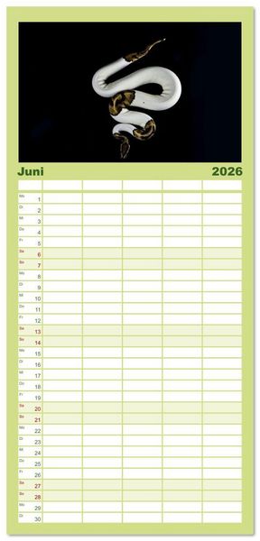 Produktbild: Familienplaner 2026 - Faszination Schlangen mit 5 Spalten (Wandkalender, 21 x 45 cm) CALVENDO