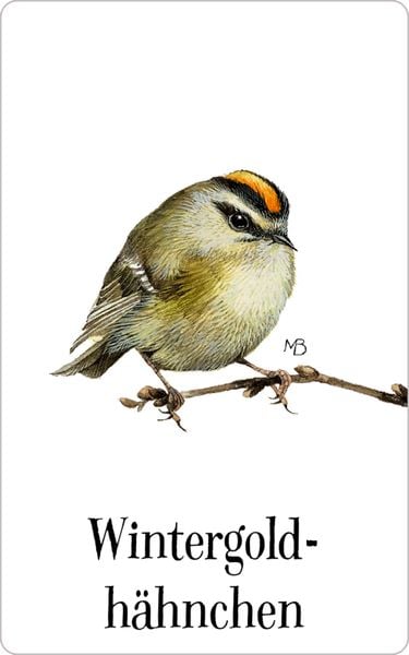 Produktbild: Schachtelspiel: Zauberhaftes Vogel-Memo (M. Bastin)