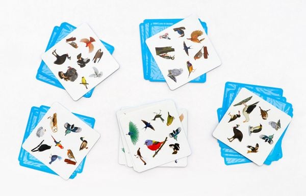 Produktbild: Finde den Vogel