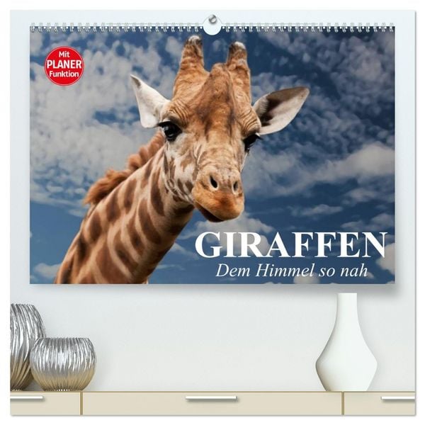 Produktbild: Giraffen. Dem Himmel so nah (hochwertiger Premium Wandkalender 2026 DIN A2 quer), Kunstdruck in Hochglanz