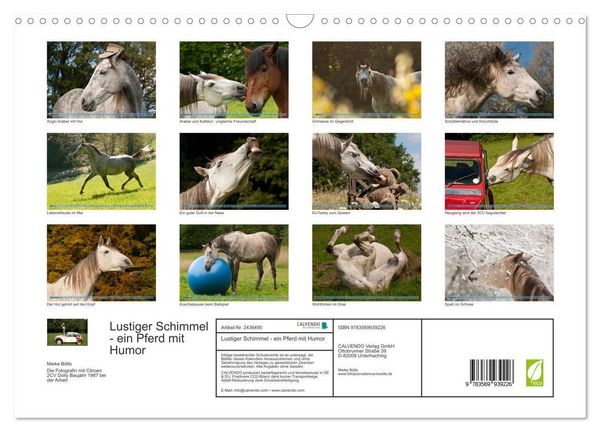 Produktbild: Lustiger Schimmel - ein Pferd mit Humor (Wandkalender 2027 DIN A3 quer), CALVENDO Monatskalender