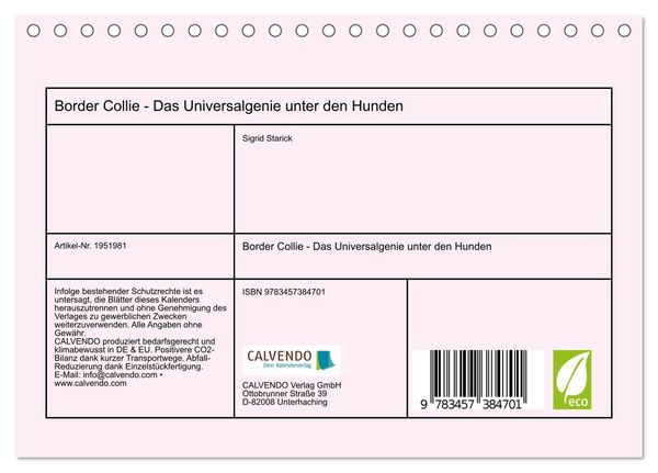 Produktbild: Border Collie - Das Universalgenie unter den Hunden (Tischkalender 2026 DIN A5 quer), CALVENDO Monatskalender