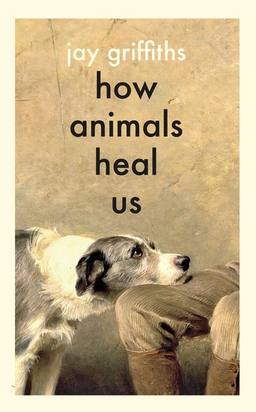 Produktbild: How Animals Heal Us