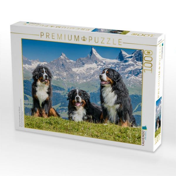 Produktbild: CALVENDO Puzzle Berner Sennenhunde in der Schweiz | 1000 Teile Lege-Gr&ouml;&szlig;e 64x48cm Foto-Puzzle f&uuml;r gl&uuml;ckliche Stunden