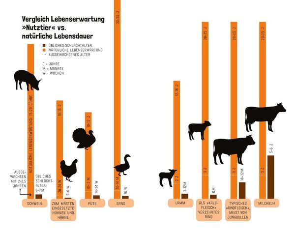 Produktbild: Tiere wollen leben!