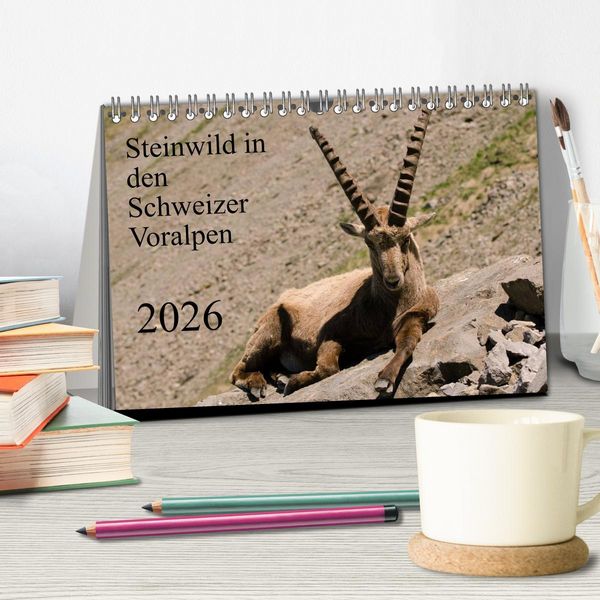Produktbild: Steinwild in den Schweizer Voralpen (Tischkalender 2026 DIN A5 quer), CALVENDO Monatskalender