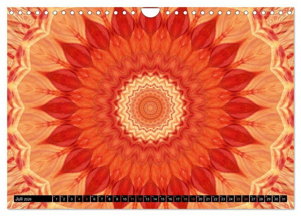 Produktbild: Energie - Mandalas in orange (Wandkalender 2026 DIN A4 quer), CALVENDO Monatskalender