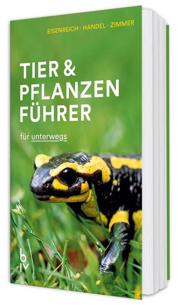 Produktbild: Der BLV Tier & Pflanzenf&uuml;hrer