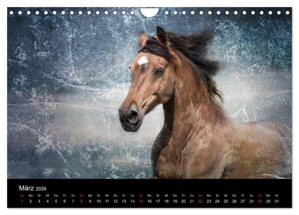 Produktbild: Pferde zum Tr&auml;umen (Wandkalender 2026 DIN A4 quer), CALVENDO Monatskalender
