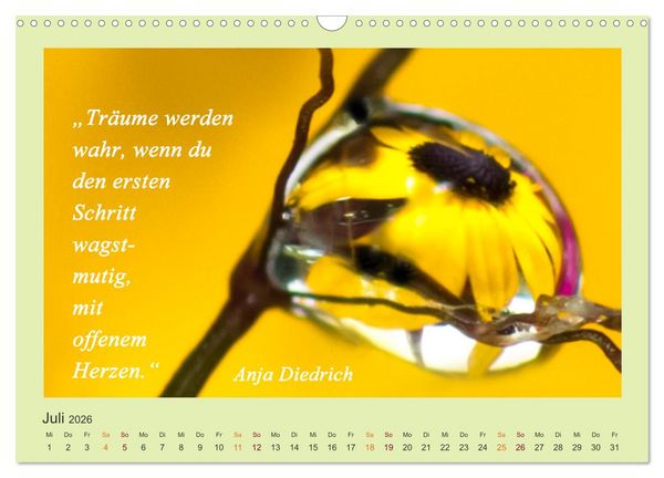 Produktbild: Co-Kreation, Gemeinsam Wunder erschaffen (Wandkalender 2026 DIN A3 quer), CALVENDO Monatskalender