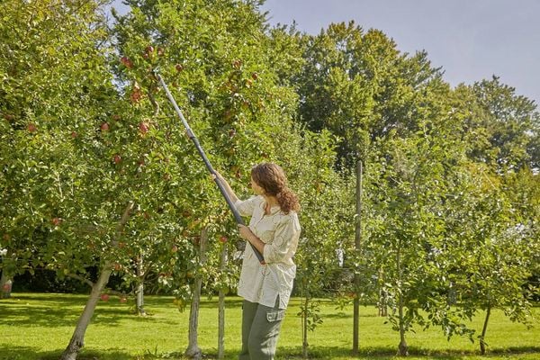 Produktbild: GARDENA combisystem 17401-20 Asthaken