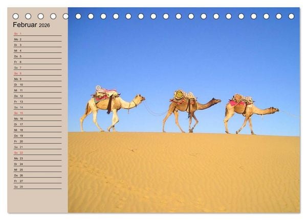 Produktbild: Kamele. Dromedar und Trampeltier (Tischkalender 2026 DIN A5 quer), CALVENDO Monatskalender