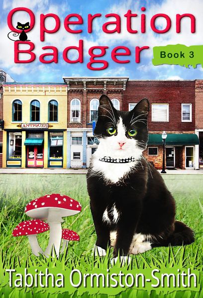 Produktbild: Operation Badger (Operation Tomcat, #3)