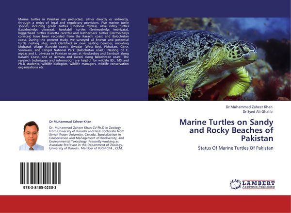 Produktbild: Marine Turtles on Sandy and Rocky Beaches of Pakistan