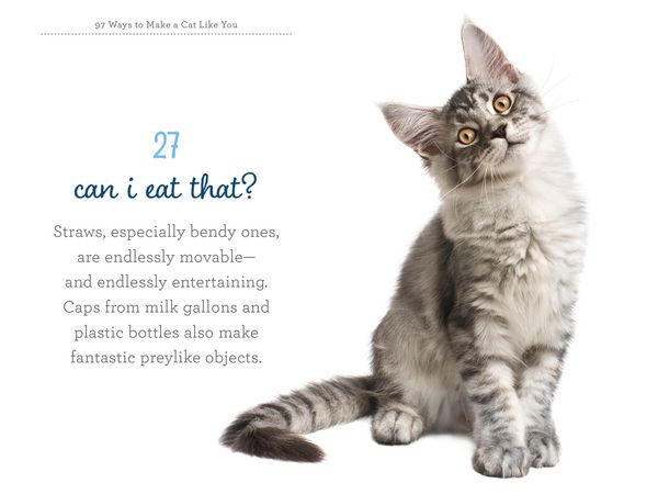 Produktbild: 97 Ways to Make a Cat Like You