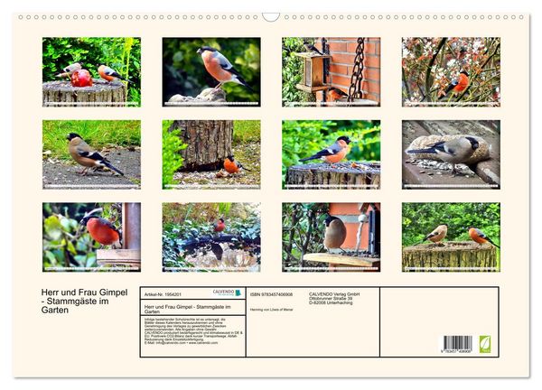 Produktbild: Herr und Frau Gimpel - Stammg&auml;ste im Garten (Wandkalender 2026 DIN A2 quer), CALVENDO Monatskalender