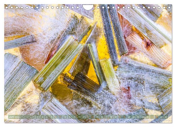 Produktbild: W&uuml;rziges Eis (Wandkalender 2026 DIN A4 quer), CALVENDO Monatskalender