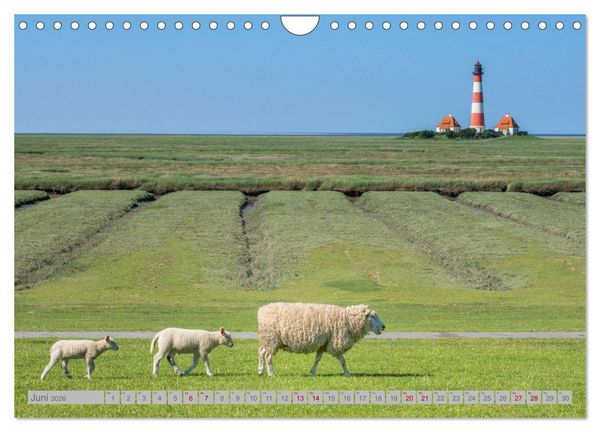 Produktbild: Leuchtt&uuml;rme - W&auml;chter der K&uuml;sten (Wandkalender 2026 DIN A4 quer), CALVENDO Monatskalender