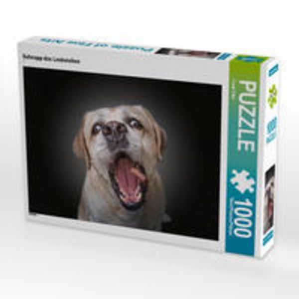 CALVENDO Puzzle Schnapp das Leckerchen | 1000 Teile Lege-Größe 64x48cm Foto-Puzzle für glückliche Stunden