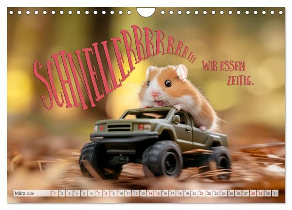 Produktbild: Hamsterhumor - Kleine Zuckerschnute, aber oho (Wandkalender 2026 DIN A4 quer), CALVENDO Monatskalender