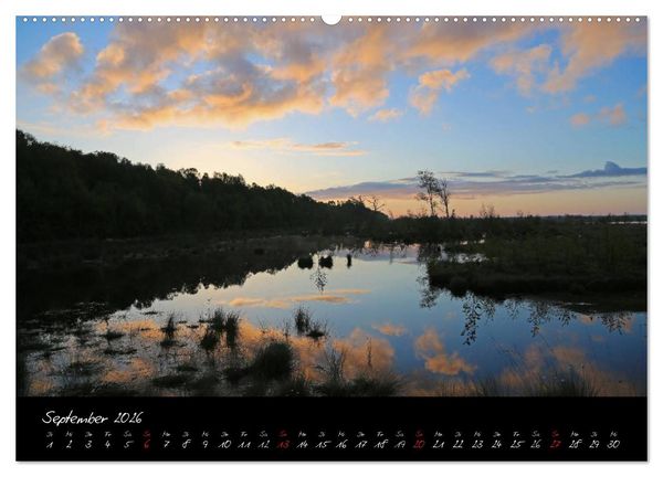 Produktbild: Im Goldenstedter Moor (Wandkalender 2026 DIN A2 quer), CALVENDO Monatskalender