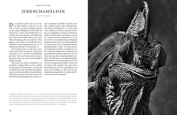 Produktbild: Reptilia