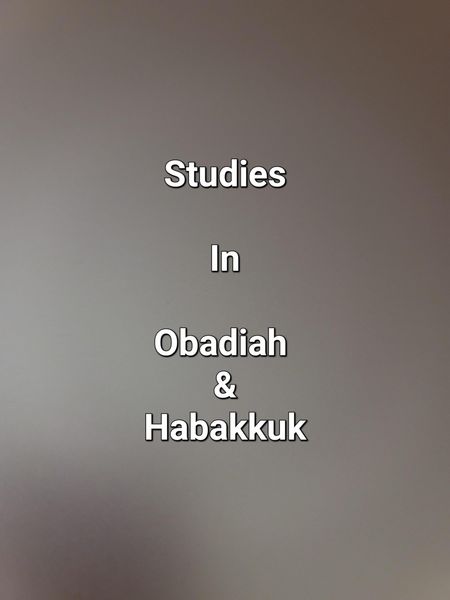 Produktbild: Studies In Obadiah & Habakkuk